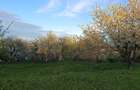 Vand teren intravilan - 4