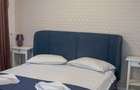 Apartament 3 camere de inchiriat Palas Mall - 14