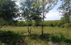 Teren intravilan de 900 mp, în Casele Micești - 6