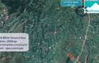 Teren Construcții de 2000 mp, în Tohanu Nou - 4