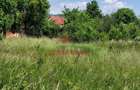Teren intravilan in Brebu-- 3399mp--81.500e - 12