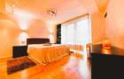 Apartament cu 2 camere semidecomandat în Herăstrău - 9