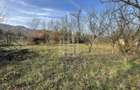 Teren intravilan 1.915 mp + cabana din lemn | Tocile Sadu - 11