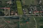 Teren de vanzare intravilan 2500 mp Merii Petchii, comuna Nuci, Ilfov - 1