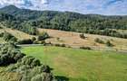 Teren Construcții extravilan de 3000 mp, în Cheile Râșnoavei - 6