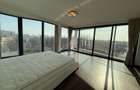 DUPLEX HERASTRAU VEDERE SUPERBA PARC - 10