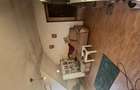 Apartament cu 2 camere semidecomandat în Snagov - 4