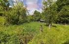 Comision 0%! Proprietate in natura, priveliste superba, S... - 9