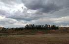 Teren intravilan de 800 mp, în Cihei - 3