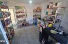 Casa + spatiu comercial + lac de peste, de vanzare ( Vernesti/Arges ) - 13