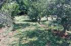 Teren intravilan ecologic - 1