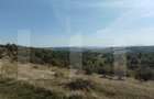 Teren 1.1 hectare, pasune extravilan, asfalt, Salicea - 1