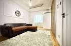 Apartament de inchiriat, 2 camere, decomandat,40 mp, Alexandru cel Bun - 4