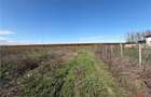 Teren intravilan 700mp in zona de Nord de vanzare - 8