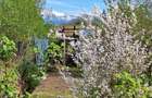 Gradina premium 1000 mp-Tocile de Sus, SADU - 9