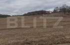Teren parcelabil, de investitie, 1000-7500 mp in Valea Seaca, Baciu - 1