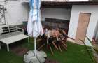 De inchiriat apartament 2 camere la curte - 2
