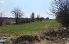 Teren intravilan Măgurele langa padurea Cornetu si Arges - 11