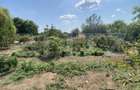 Teren 800 mp, fundatie 125 mp, 20 m deschidere, toate utilit - 4