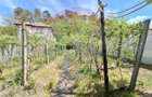 Casa cu panorama superba asupra ora?uluiMedia?, str. Ulmului nr. 13A - 8