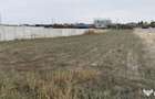 Teren intravilan Carcea 1050mp cu deschidere 16m - 1
