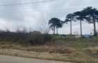 Teren Construcții intravilan de 7631 mp, în Tatomirești - 3