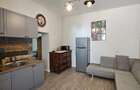 direct proprietar zona teatru - 9