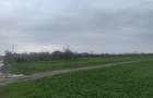 Teren Frumu?ani - direct proprietar 10000mp. - 4