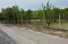 Teren de 570 mp, în Petrăchioaia - 4