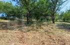 Casa cu 2 camere, 250 mp, zona sud-est - 9