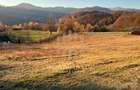 Teren extravilan Firiza Maramures , zona Vidra ,1 ha ideal cabana , - 3