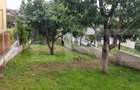 Apartament cu 3 camere decomandat în Bucium - 18