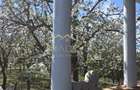 Vila 9 camere***gradina pomi fructiferi//1085 mp teren***Dragomiresti- - 9
