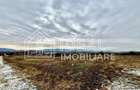 Teren intravilan | 418 mp | Sat Mohu, comuna Selimbar - 2