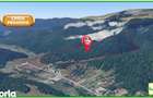 Teren forestier compact, 39,42 ha, Cheia Maneciu, ECX30374 - 4
