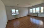 Apartament 1 camera de inchiriat Pacurari/Canta - 3