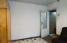MT246 Apartament 2 camere, Sagului, parter-necesita renovare - 10