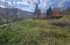 BREBU intravilan 1800 mp, deschidere 29 ml, doar 16.900 - 10