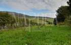 Teren intravilan agricol de vanzare in Betfia Bihor , Oradea - 2