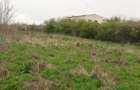 Teren intravilan arabil 3846 mp, Topraisar.Zona buna,sub pretul pietei - 6