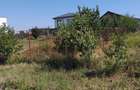Teren Construcții intravilan de 420 mp, în Berceni - 6