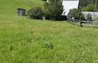 Teren 7 Hectare Brodina Suceava Par?ial Intravilan, Casa + Anexe, Zona de Munte | Ocazie - 2