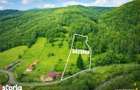 Teren la poalele padurii,Buzaiel,Vama Buzaului,DJ,constructie +utilita - 3