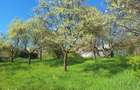 Teren de vanzare in Turda pentru construc?ie casa (sau doua case) - 1