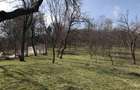 Teren de 1660 mp, în Teișani - 3