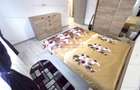 Apartament cu 2 camere decomandat în Dobroești - 11