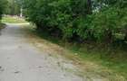 2 case de vinzare IN BOIAN 25000 eur pe casa - 3