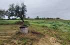 Casa de vanzare cu 3 camere in localitatea Cuied cu 2805 mp - 4