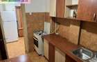Apartament 2 camere de inchiriat : Central-Cantacuzino (Vasile Lupu) - 16