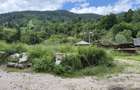 Teren intravilan Bicaz, Str. Izvorul Muntelui / 1250Mp - 7
